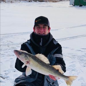 Meet your Posher, Braxon